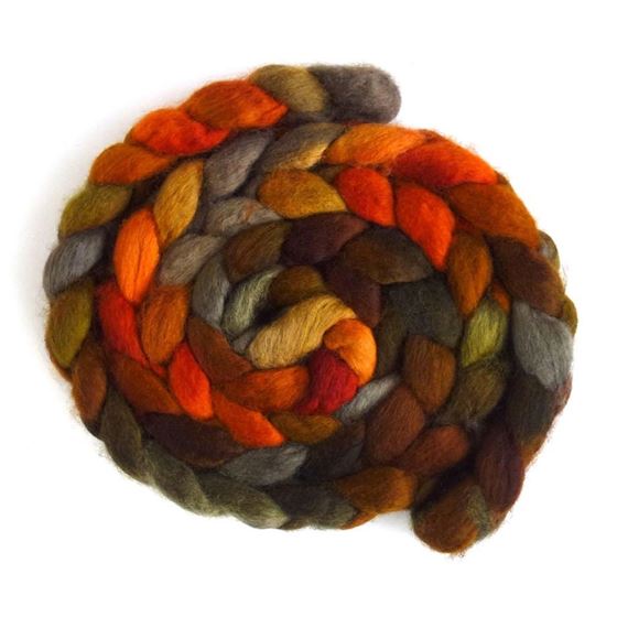 Autumn Splendor - BFL Wool Spining Roving